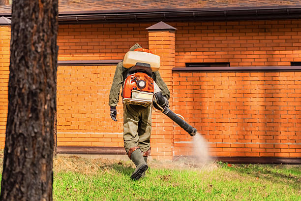 Trusted Termite Control service in Moorestown-Lenola, NJ - Nex Pest Control